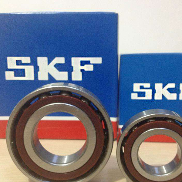 SFK双排自动定心轴承(锥孔)