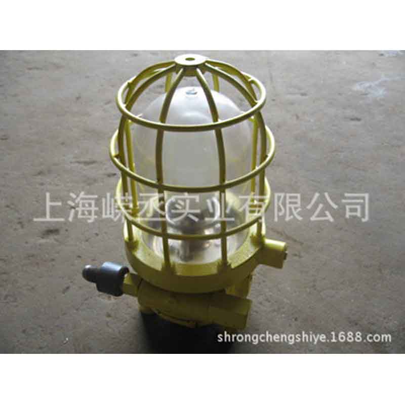 防爆气力灯 船用气力式防爆灯 IMPA330621/3
