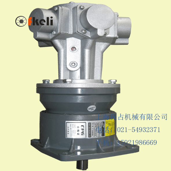 FKELI气动马达、气动减速马达、活塞式气动减速马达ARM5-CVM-40